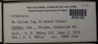 Image Associated With the Occurence